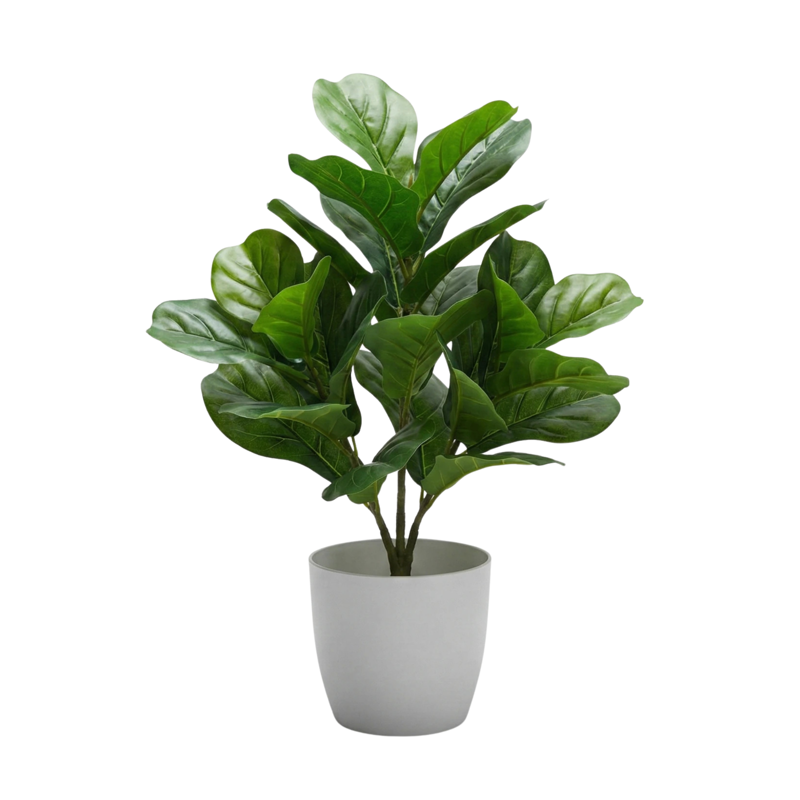 Enhance your indoor space with this Artificial Mini Fiddle Leaf Fig Plant